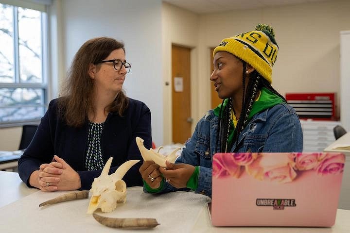 student and faculty member talking at table while handling bone specimens