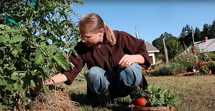 Elin England crouching as she is harvesting vegetables in her garden into a basket