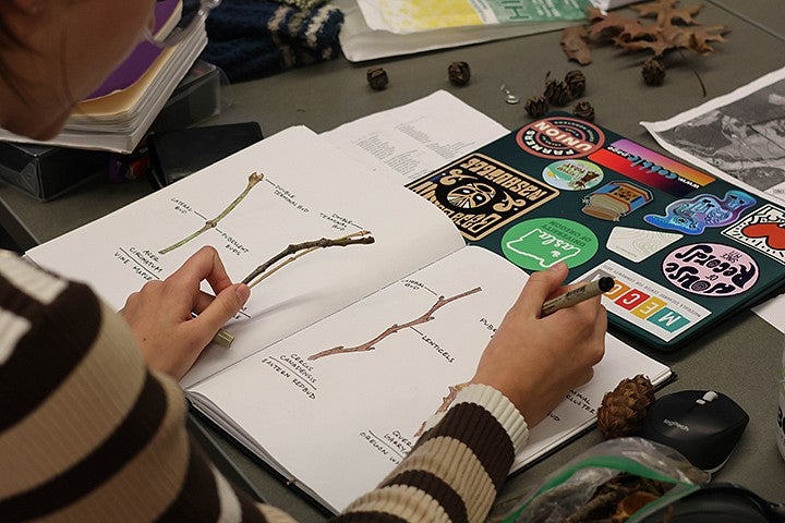 looking over mia owen's shoulder at her notebook with color drawings of different tree twigs, on a table with her laptop covered in stickers