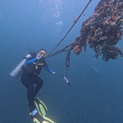 lisa munger places a hydrophone on a floating mass of coral in scuba gear while giving the OK sign