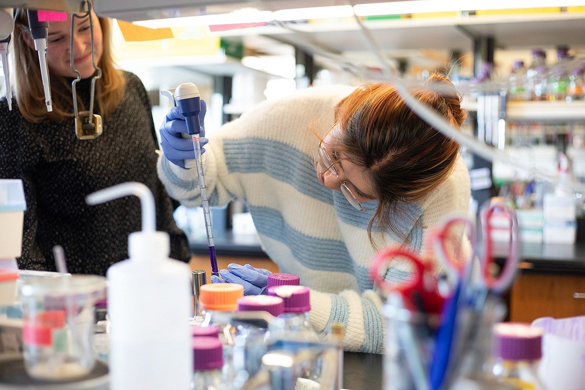 student dante' james using a pipette in a test tube at the lab bench while another person looks on