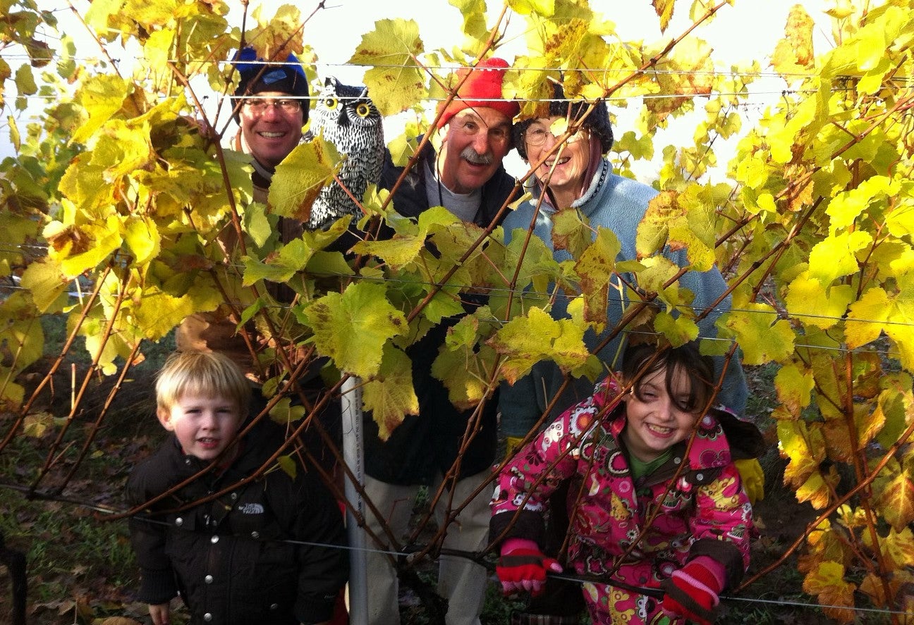 a family poses among yellowing grape vines in an autumn vineyard, peeking out through the leaves