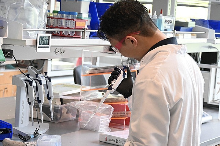 student working with equipment at lab bench