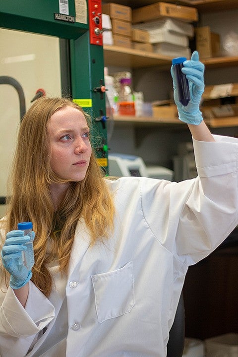 student in lab coat and gloves peers at a test tube of dark liquid in a lab