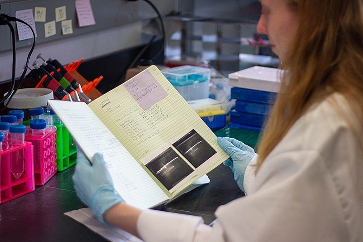 student seated at lab bench looking at figures in notebook