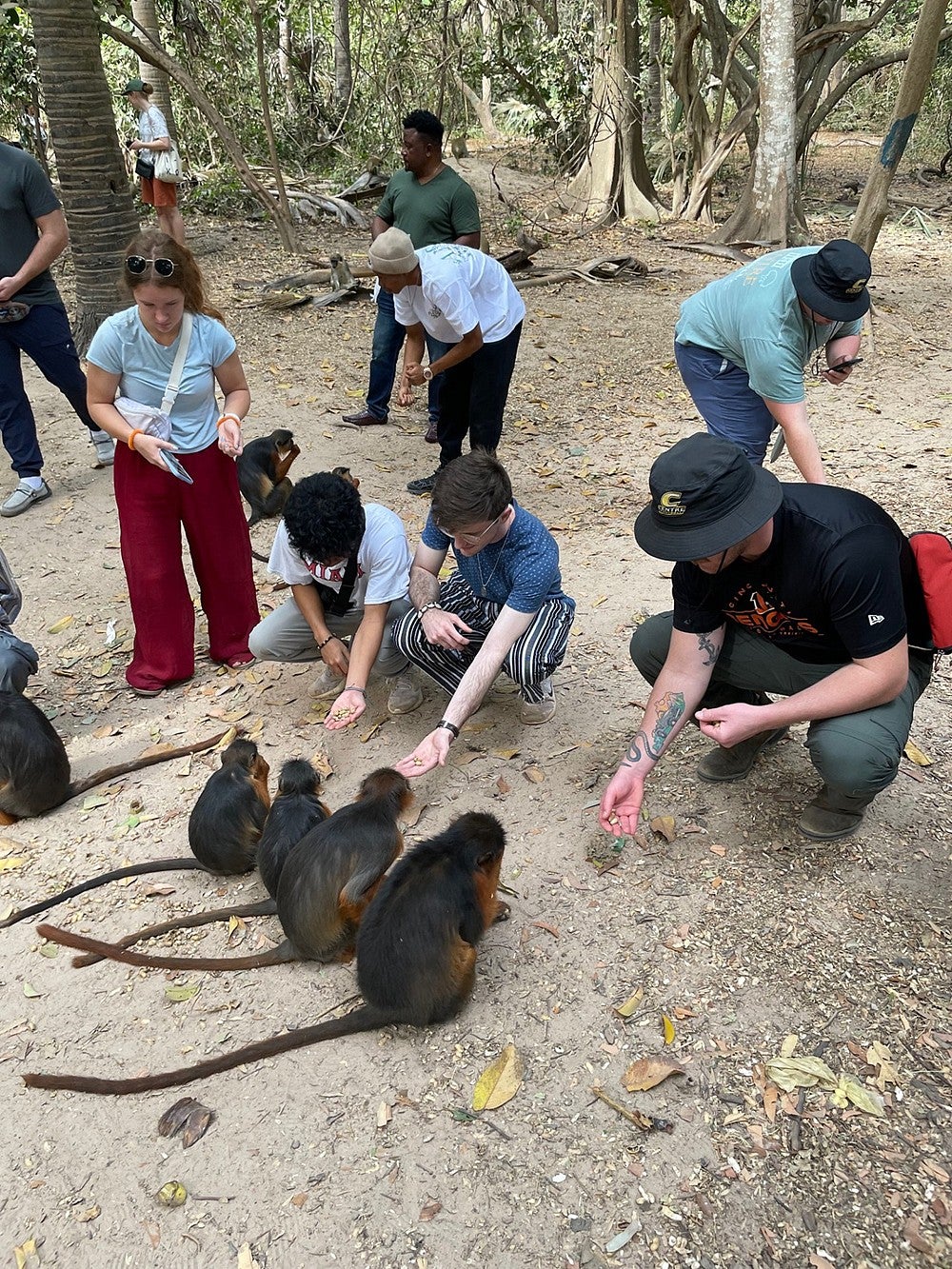 students interacting with monkeys among trees