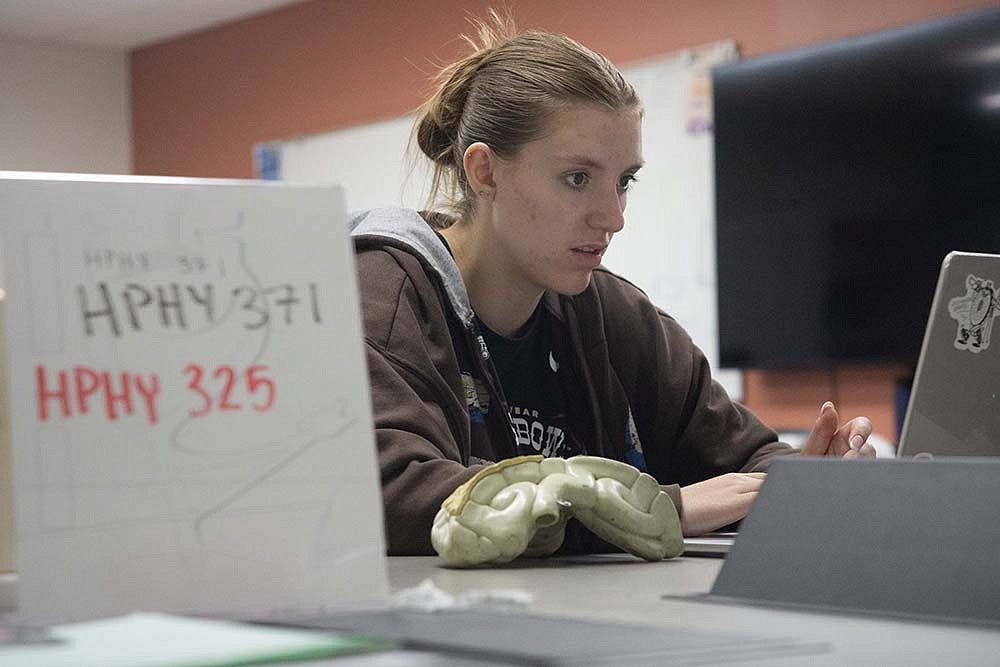 student studying on laptop with model brain