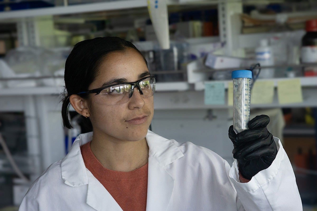 student in lab holding up test tube
