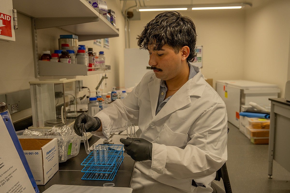 student working in lab