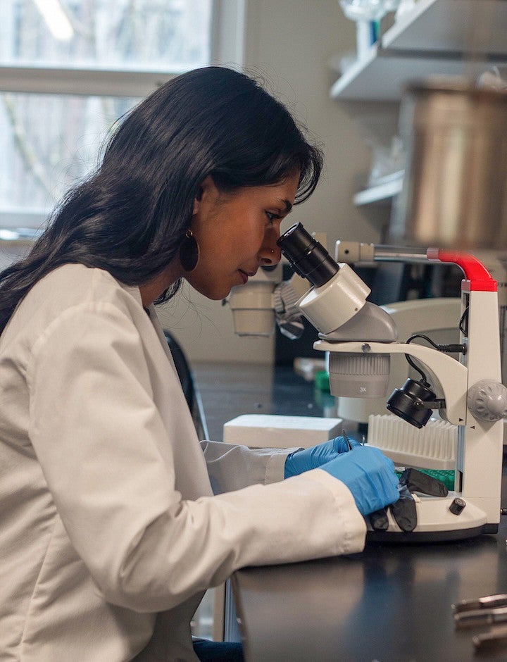 student looking in microscope at lab bench