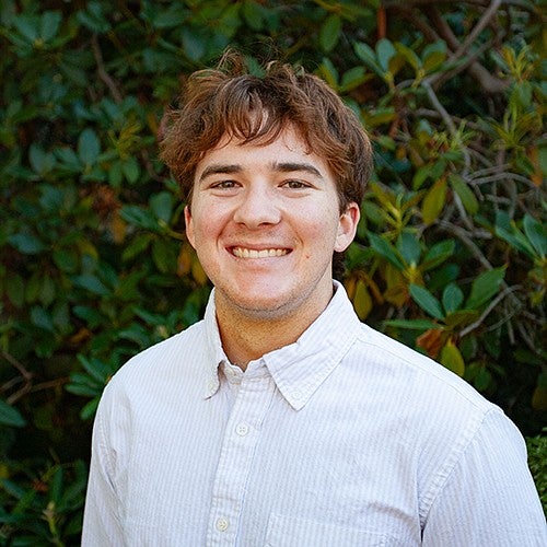 ronan santaniello portrait
