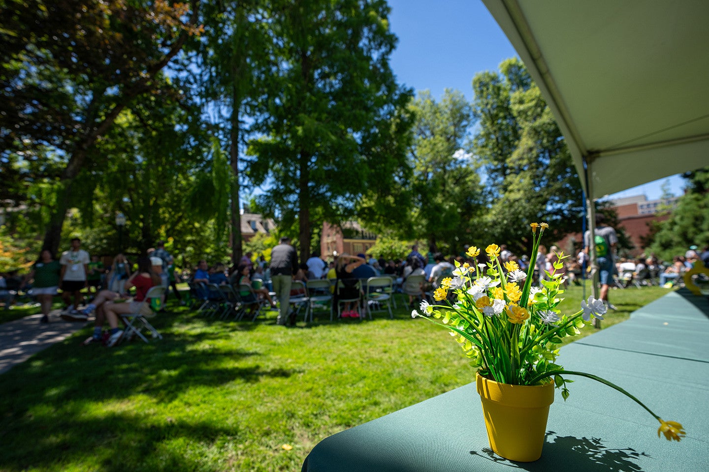 flowers on table in quad area