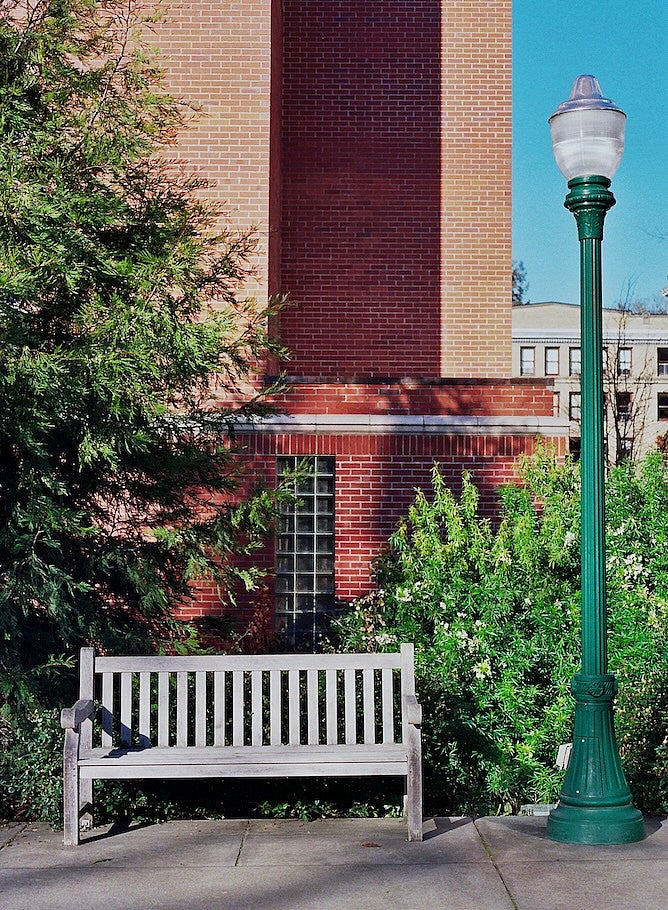 empty bench next to a lamp post and flowering shrub outside chapman hall on a bluebird day