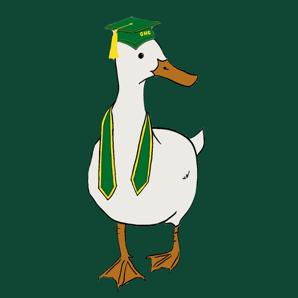 duck in grad cap and stole