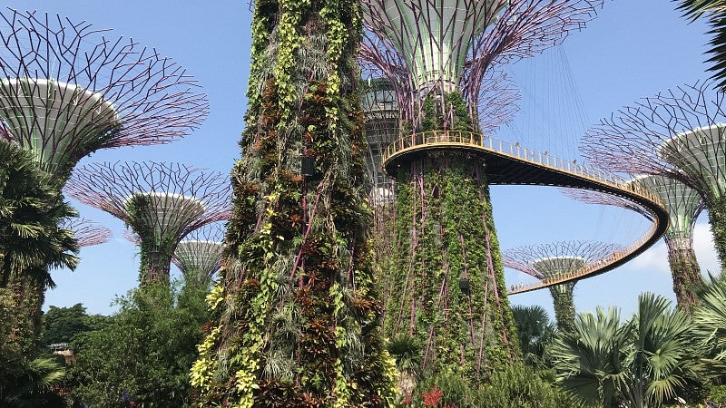 floating gardens in singapore