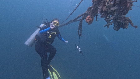 Lisa Munger scuba diving off the coast of Indonesia.