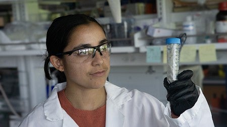student in lab holding up test tube