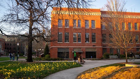 chapman hall and mccaslin lawn with daffodils coming up in late afternoon
