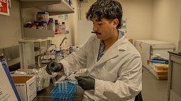student working in lab