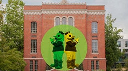 chapman hall with a graphic of the Duck as a mirror image, one yellow and one green