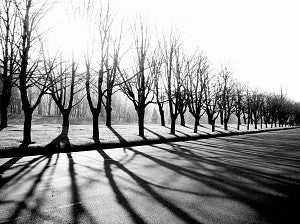Shadows at the Gorge, photograph by Simon Narode Shadows at the Gorge, photograph by Simon Narode