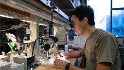 male student looking into a microscope