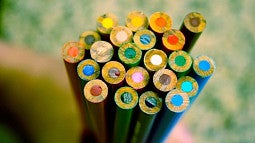 Pencils, photograph by Lily Bussel