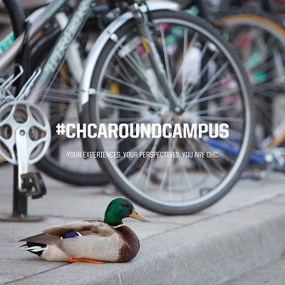 #CHCAroundCampus #CHCAroundCampus